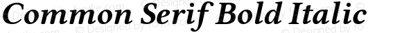 Common Serif Bold Italic