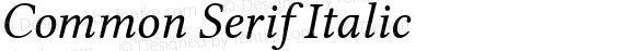 Common Serif Italic Version 1.026