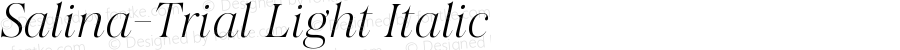 Salina-Trial Light Italic Version 1.000;Glyphs 3.1.2 (3151)