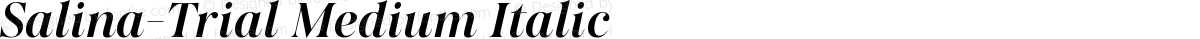 Salina-Trial Medium Italic