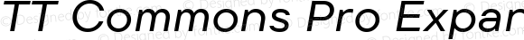 TT Commons Pro Expanded Medium Italic