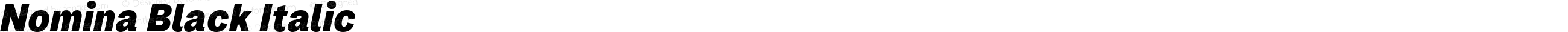 Nomina Black Italic