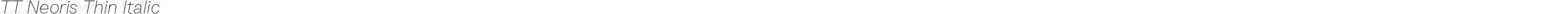 TT Neoris Thin Italic