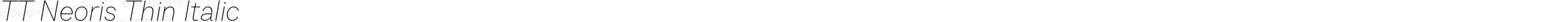 TT Neoris Thin Italic