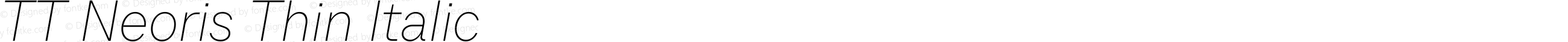 TT Neoris Thin Italic