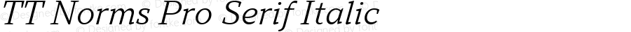 TT Norms Pro Serif Italic