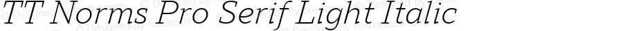 TT Norms Pro Serif Light Italic