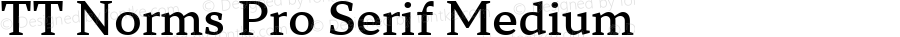 TT Norms Pro Serif Medium