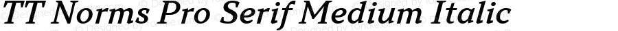 TT Norms Pro Serif Medium Italic