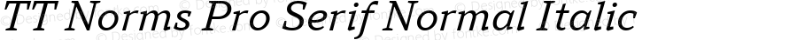 TT Norms Pro Serif Normal Italic