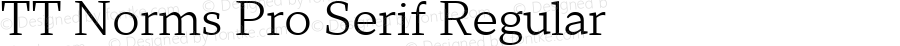 TT Norms Pro Serif Regular