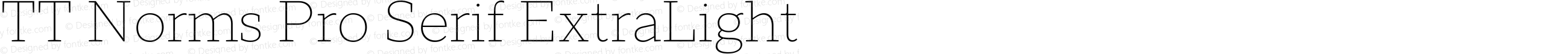 TT Norms Pro Serif ExtraLight