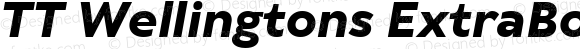 TT Wellingtons ExtraBold Italic