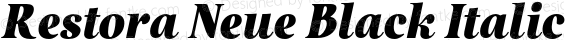 Restora Neue Black Italic