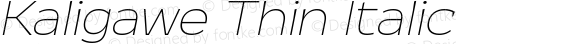 Kaligawe Thin Italic