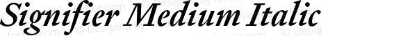 Signifier Medium Italic