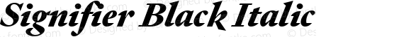 Signifier Black Italic