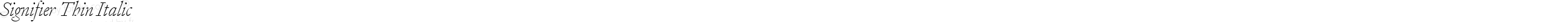 Signifier Thin Italic