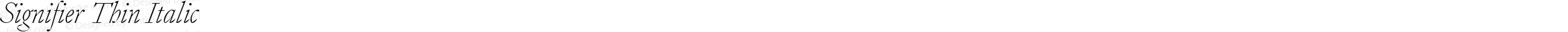 Signifier Thin Italic