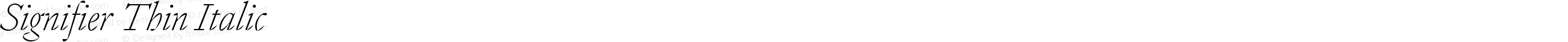 Signifier Thin Italic