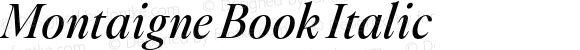 Montaigne Book Italic