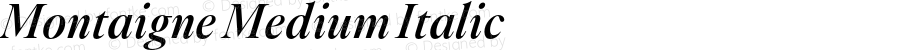 Montaigne Medium Italic