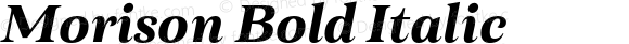 Morison Bold Italic