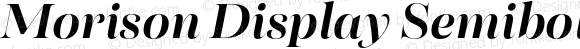 Morison Display Semibold Italic