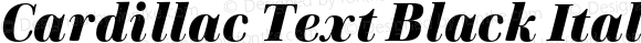 Cardillac Text Black Italic