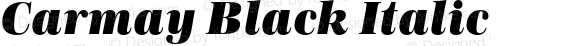 Carmay Black Italic