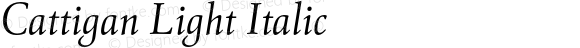 Cattigan Light Italic