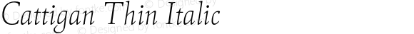 Cattigan Thin Italic
