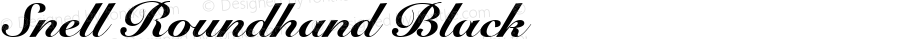 Snell Roundhand Black Script