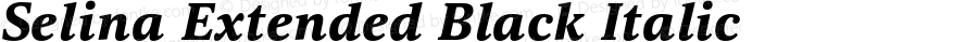 Selina Extended Black Italic