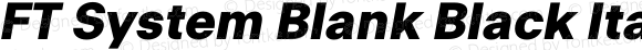 FT System Blank Black Italic