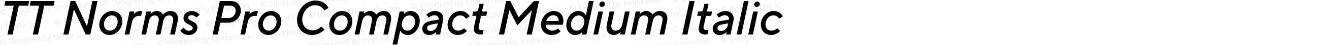TT Norms Pro Compact Medium Italic