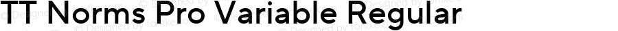 TT Norms Pro Variable Regular Version 3.200.25102023