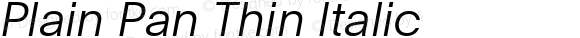 Plain Pan Thin Italic