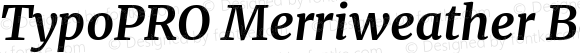 TypoPRO Merriweather Bold Italic