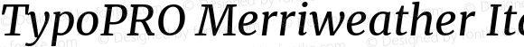 TypoPRO Merriweather Italic