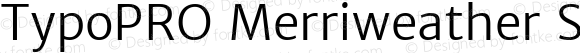 TypoPRO Merriweather Sans Light