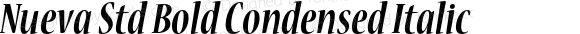 Nueva Std Bold Condensed Italic