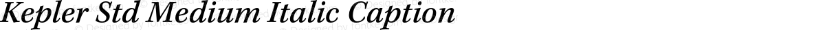 Kepler Std Medium Italic Caption