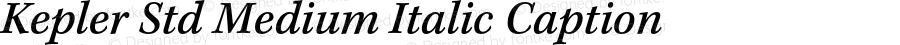 Kepler Std Medium Italic Caption