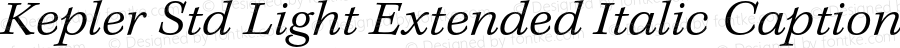 Kepler Std Light Extended Italic Caption