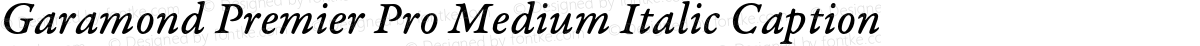 Garamond Premier Pro Medium Italic Caption
