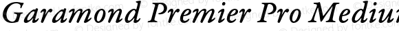 Garamond Premier Pro Medium Italic Caption