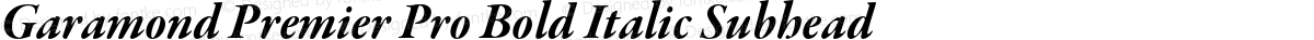 Garamond Premier Pro Bold Italic Subhead