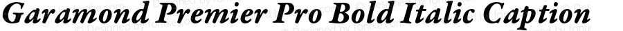 Garamond Premier Pro Bold Italic Caption