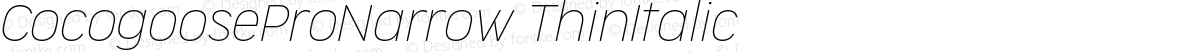 CocogooseProNarrow ThinItalic